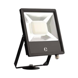 Collingwood FL10BXCS 100W colour switchable floodlight