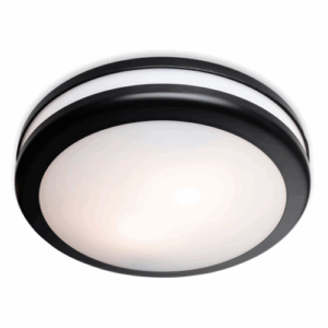 Firstlight Style Resin Flush Ceiling Fitting Black