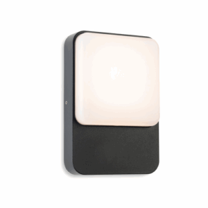 Firstlight Hero LED Wall Light Graphite