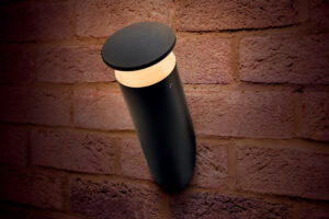 Integral Outdoor Decorative Wall Light Bough IP65 420Lm 9W 3000K Omni Directional Dark Grey