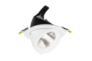 Integral Accentpro Scoop Adjustable Downlight 30W 4000K White 220-240V - Non-Dimm