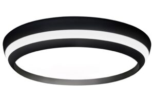 Lutec Cepa IP20 Integrated LED 24W RGBW Indoor Ceiling Black