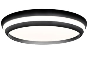 Lutec Cepa IP20 Integrated LED 40W RGBW Indoor Ceiling Black