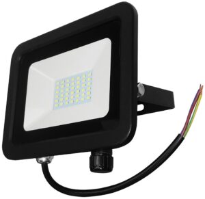 Eterna 30W IP65 LED Floodlight