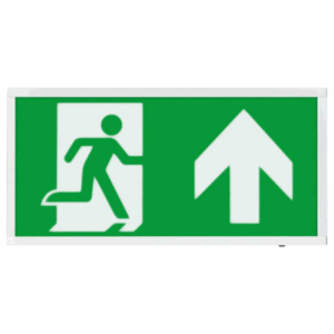 ESP EM Exit Up 3W IP20 Main