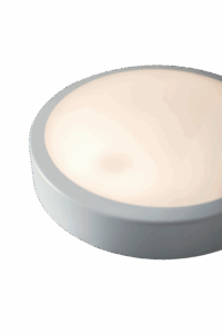 Robus Orb Led Surface Mount Anti Tamper Screws