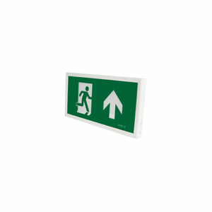Robus Rex 3.5W Maintained Slim Exit Box C/W Up Down Left Right Legends [White]