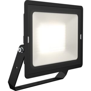Ansell Eden Floodlight 100W Warm White