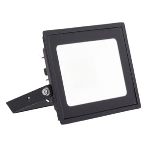 Ansell Eden Floodlight 20W Cool White