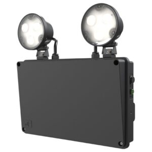 Ansell Raptor IP65 Twin Spot Black