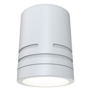 Ansell Reef CCT Fixed Surface Downlight White
