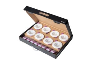 Robus Triumph Express 4/6 Dual Wattage IP65 Fire Rated Downlight Cct4 2 Part Connector Multipack (8Pcs)